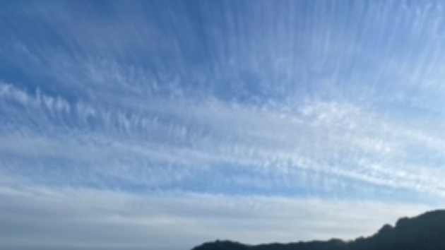 いのちの音｜クリスタル サラ｜coconalaブログ